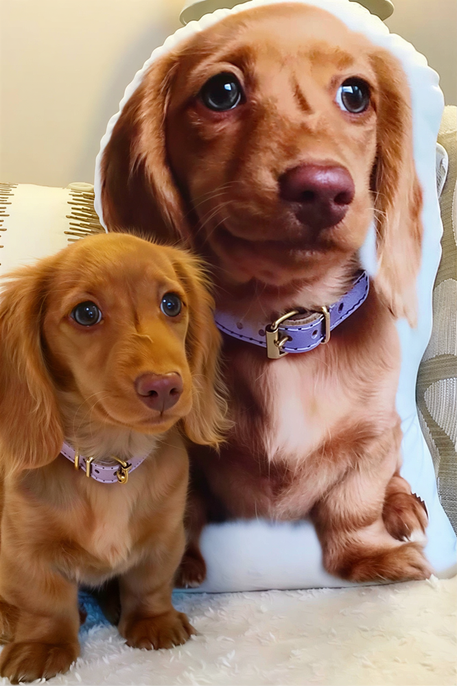 Cliente abrazando su almohada personalizada