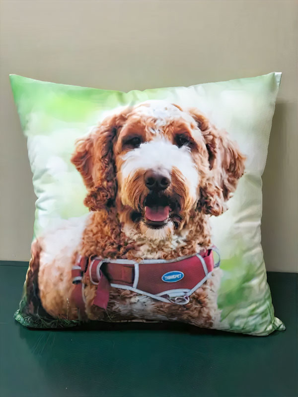 Almohada cuadrada personalizada, foto 2