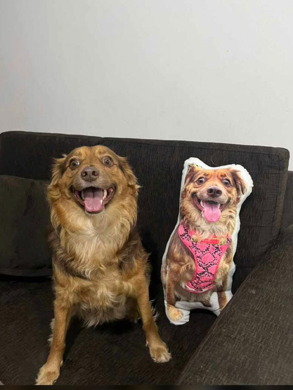 Almohada silueta personalizada, foto 2