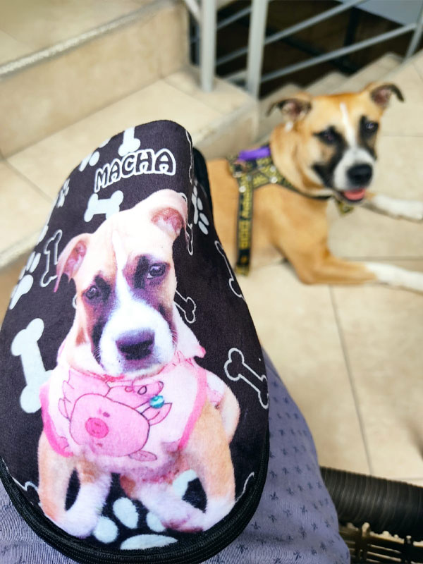 Pantuflas personalizadas, foto 3
